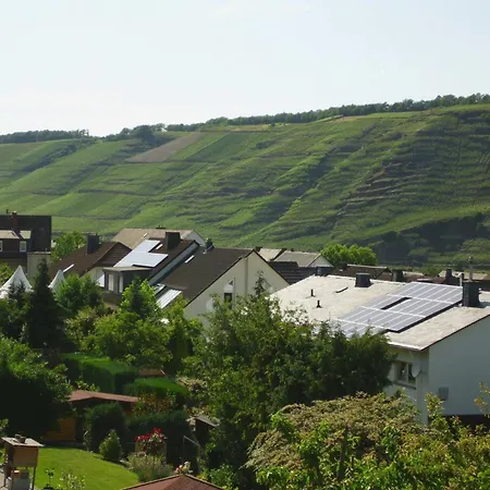 Gerae Umige In Lay Am Moselhang Koblenz (Rhineland-Palatinate)